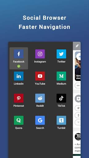 Friendly Social Browser screenshot 2