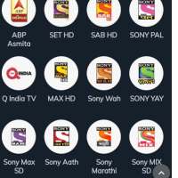 Sony Pal max wah  sab yay  y  icon