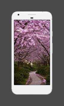 Spring Wallpapers screenshot 1