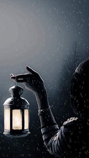 Night Live Wallpaper скриншот 7