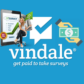 Survey money vindale icon