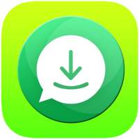 Fast Status Saver