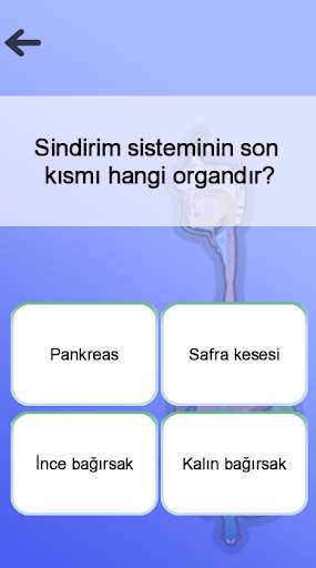 Anatomi Oyunu screenshot 5