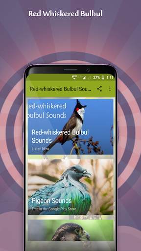 Red-whiskered Bulbul Sounds 1 تصوير الشاشة