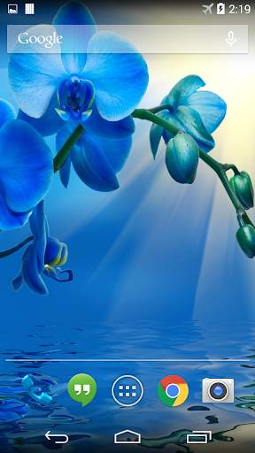 Blue Orchid Live Wallpaper screenshot 2