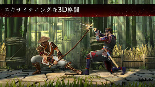 シャドウファイト 3 - RPG格闘ゲーム screenshot 2