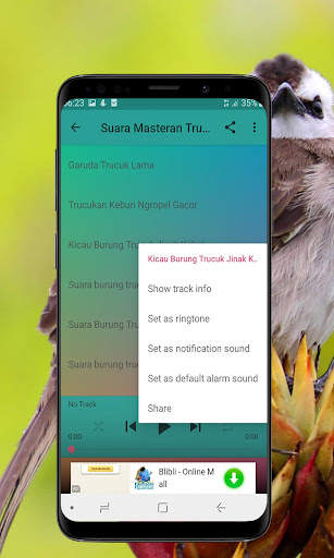Kicau Burung Trucukan Offline screenshot 7