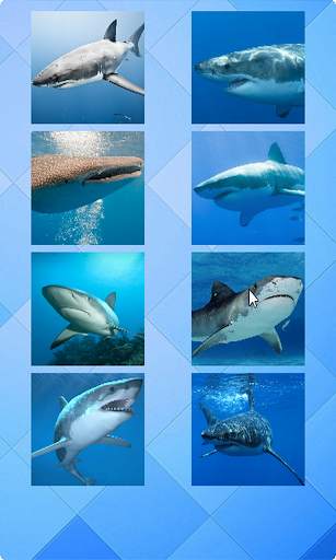 Shark Puzzle screenshot 1