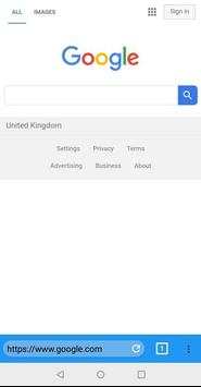 Internet Browser screenshot 3