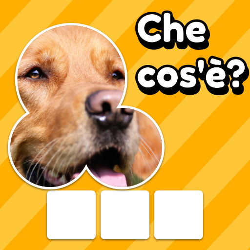 Zoom Quiz: Gioco D'immagini icon
