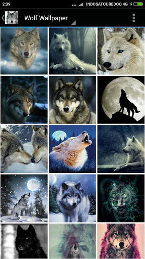 Wolf Wallpaper screenshot 2