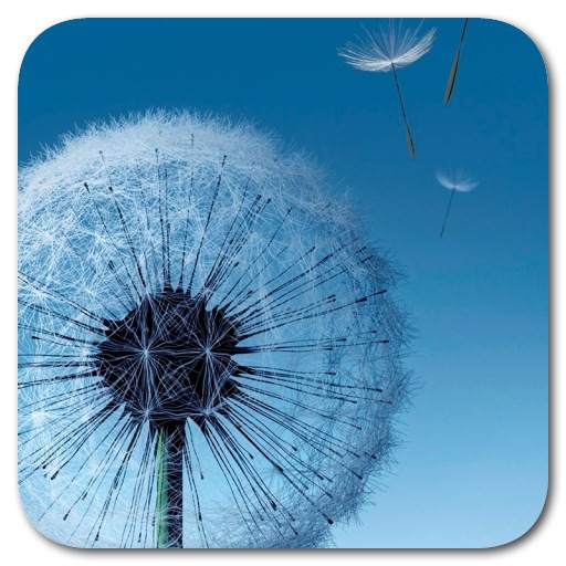 S3 Ripple Locker 1.1