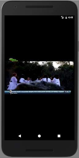 Dalin TV screenshot 3