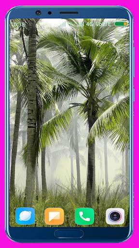 Palm Tree Wallpaper screenshot 13
