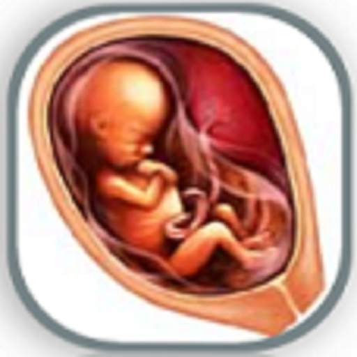 Pregnancy Week by Week 33.0.0
