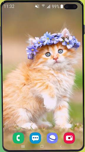 Cute Kitten  Wallpaper HD screenshot 7