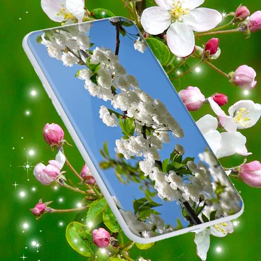 Cherry Blossom Live Wallpaper 6.9.23