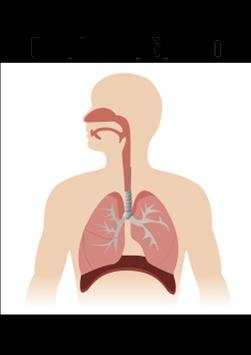 Respiratory System screenshot 1