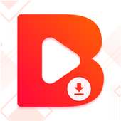 Buddy Video Downloader