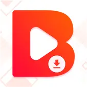 Buddy Video Downloader