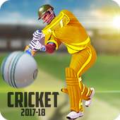 Cricket Champion League - New Cricket Game 1.1