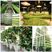 Learn Agricultural Engineering icon