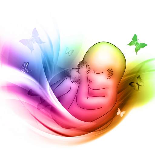 First Time Pregnancy 2.8