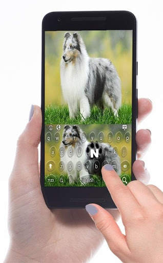 Shepherd Dog Keyboard screenshot 4