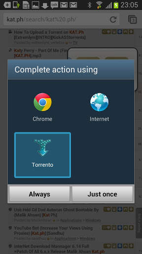 Torrent Downloader Client screenshot 1
