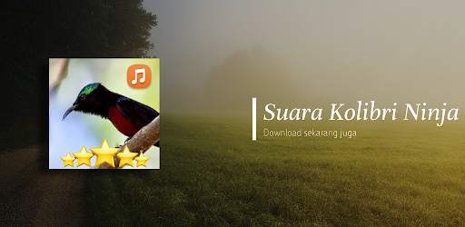 Pancingan Suara Kolibri Ninja screenshot 4