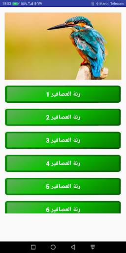 أصوات الطيور و العصافير بدون نت - أصوات الغابة 2 تصوير الشاشة