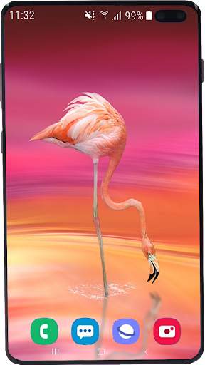 Flamingo Wallpaper HD screenshot 4