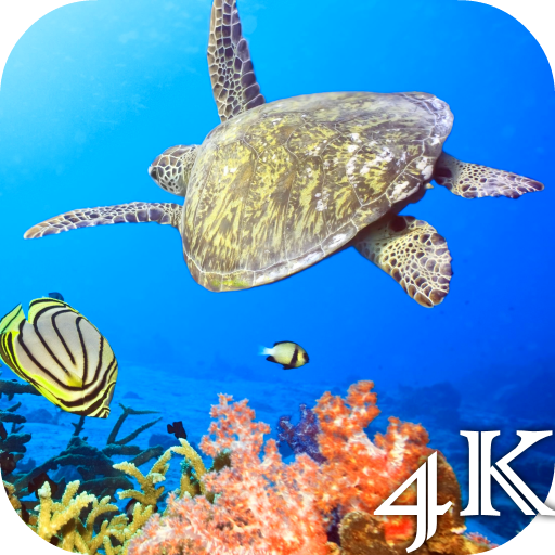 ikon Turtle 4K Live Wallpaper