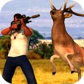 Sniper hunter jungle survival 1.0