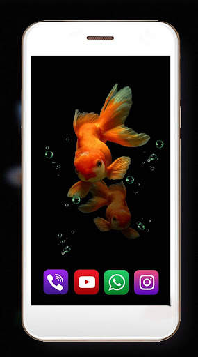 Fish Gold Live Wallpaper screenshot 8