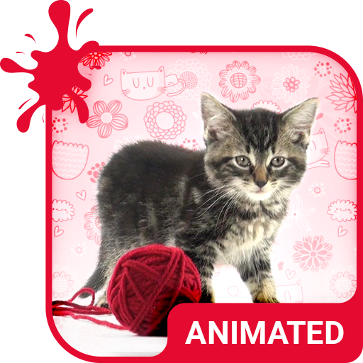 Pretty Cat Animated Keyboard   Live Wallpaper icon