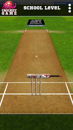 Blind Cricket screenshot 2