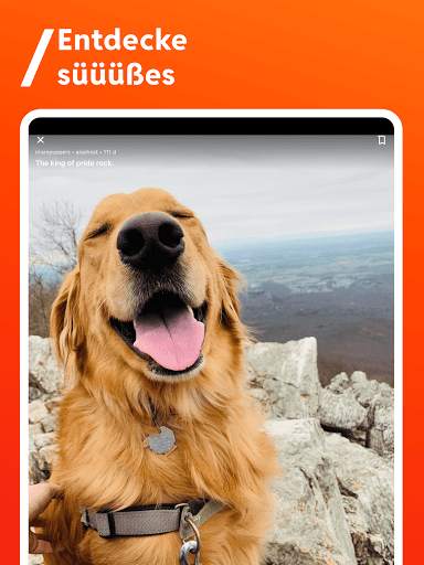 Reddit screenshot 4