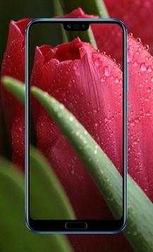 4K Wallpaper Flower 8 تصوير الشاشة