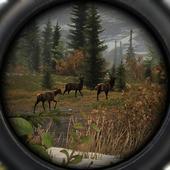 Wildlife Hunting icon