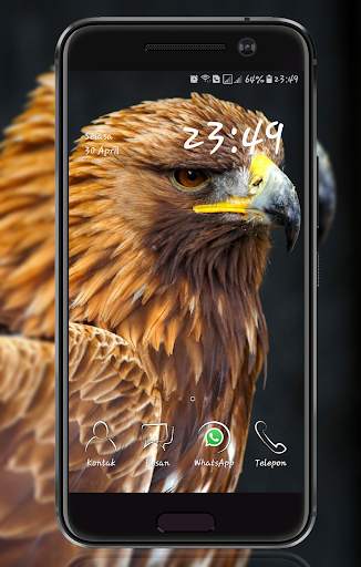 Eagle  Wallpaper screenshot 5