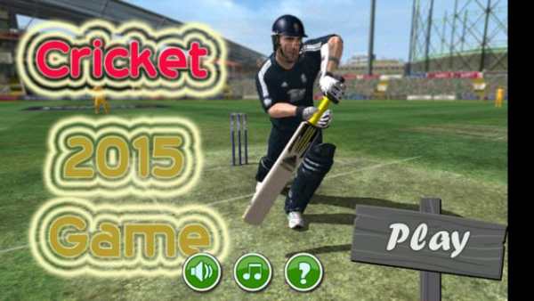 Best Cricket Game The Run screenshot 2