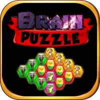 Brain Puzzle