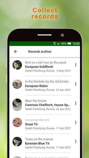 BirdNerd: Bird Song Identifier screenshot 3