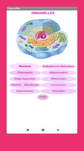 Cell- Organelles स्क्रीनशॉट 2
