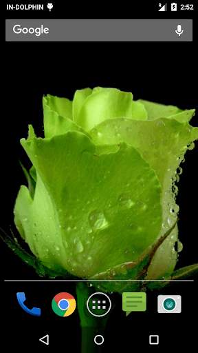 Love Rose Wave livewallpaper 2 تصوير الشاشة