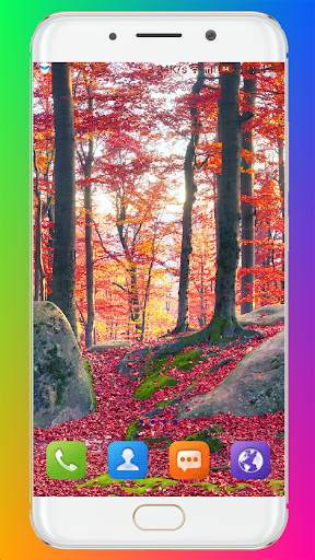 Fall Wallpaper HD screenshot 10