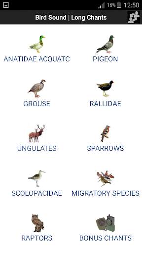 Bird Sound screenshot 1