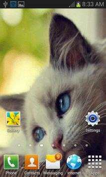 Cute Sad Cat LWP screenshot 2