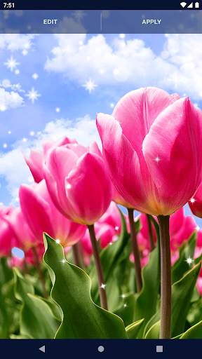 Flowers Live Wallpaper screenshot 5